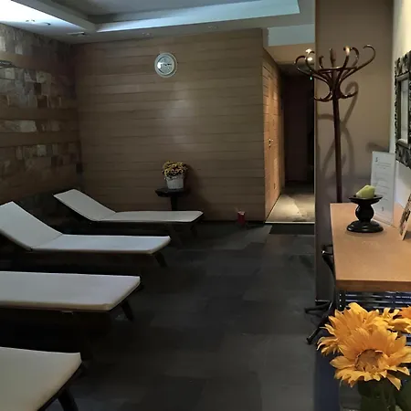 Family Delta Hotel Ognyanovo (Blagoevgrad)